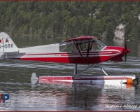 TSR Watermark - 0228